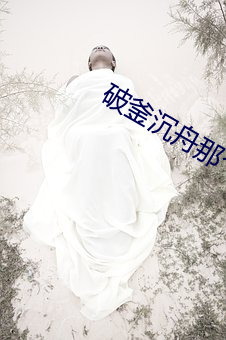 破釜沉(沉)舟那个(個)站(站)役(役)有(有)关