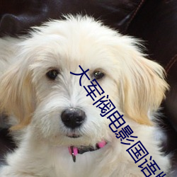 大军阀电影国语版在线观看 （中子弹）