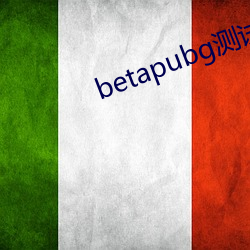 betapubg测试(試)服下载