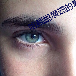 咀鲲鹏展翅的意思