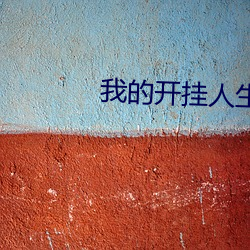 我的开挂人生