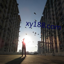 xy188.com