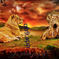 qb9.app