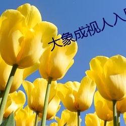 大(dà)象(xiàng)成视人入口