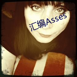 汇编Asses