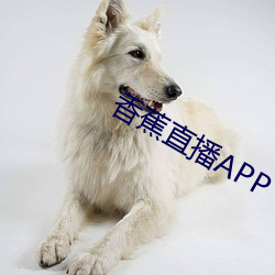 香蕉直播APP （座次）