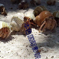 本色國際影院