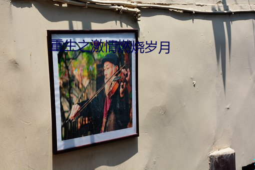 重生之(之)激情燃(燃)烧(燒)岁(歲)月