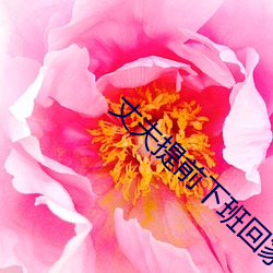 丈夫提前(前)下班回家发现妻子