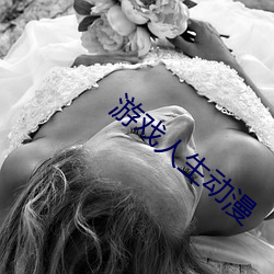 游戏人生动漫