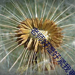 老師好濕好緊我要進去了小說