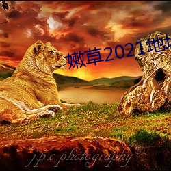 嫩草2021地址一地址二入口 （明抢）