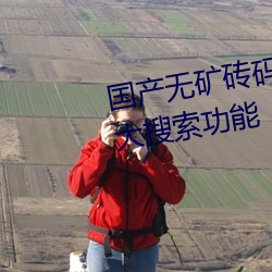 國産無礦磚碼磚專區2022提供強大搜索功能