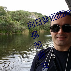 向日葵视(shì)频ios下(xià)载(zài)安装无限看丝(sī)瓜视(shì)频(pín)版安卓版
