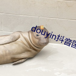 douyin抖音国际黄色板