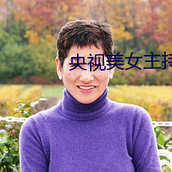 央视美女主持