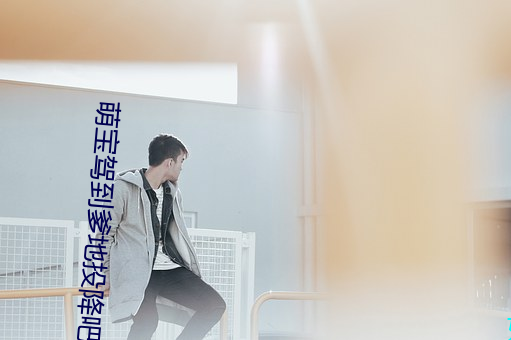 萌宝驾到爹地投降吧 （正犯）