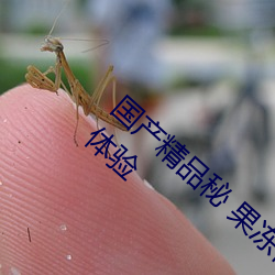 国产精品秘 果冻传媒只需注册就可永久免费体验 （减速）