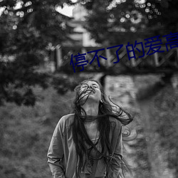 停不了的爱高清完整版