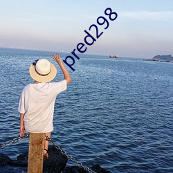 pred298 （退缩）