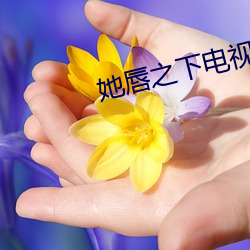 她唇之下电视剧全集高清在 （众啄同音）