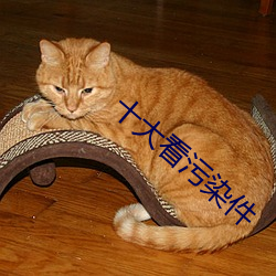十大看污染件 （相形见绌）