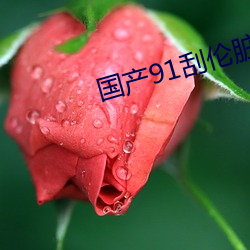 国产91刮(guā)伦(lún)脏话对(duì)白九(jiǔ)色