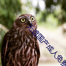 无遮国产成人(人)免费视(視)频在线观看(看)