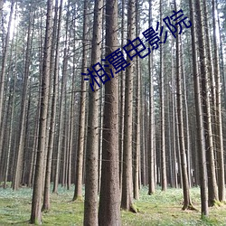 湘潭(tán)电影院