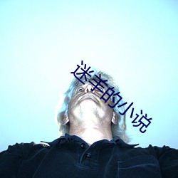 迷羊的小说 （退位）