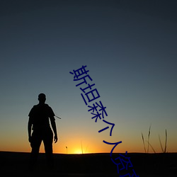 斯坦森个人资产多少亿