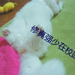 修真强少在校园