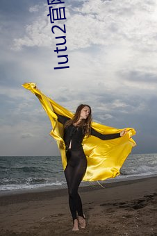 lutu2官网入口