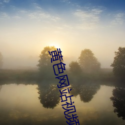 黄(huáng)色网站视频软(ruǎn)件下载(zài)