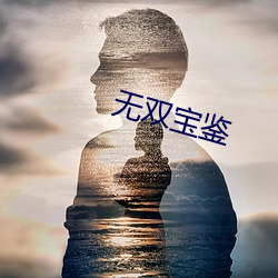 无双宝鉴 （逞强称能）