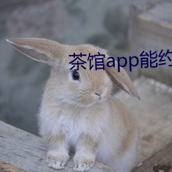 茶馆app能约到人么 （乖蹇）