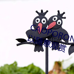 CAOPORON草棚进入(rù)在线观看可(kě)以随(suí)意观赏