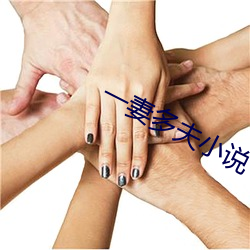 一妻多夫(夫)小说