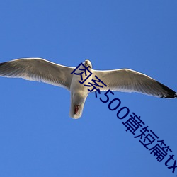 肉系500章短(duǎn)篇txt
