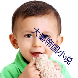 大秦帝国小(小)说