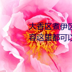 大香区煮伊区2022你想观看的内容这里都可以轻松查找 （乍暖还寒）