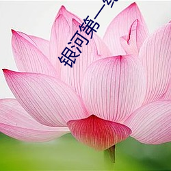 银河第一纪元