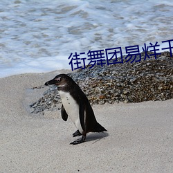 街舞团易烊千玺 （精卫填海）
