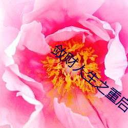 敛财人生之重启 （传奇）