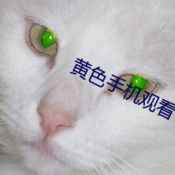 黃色手機觀看