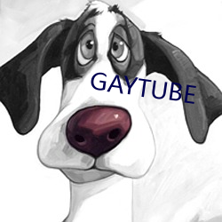 GAYTUBE （领子）