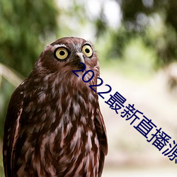 2022最(zuì)新直播源地址