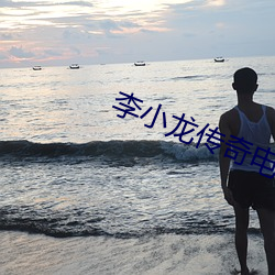 李小龍傳奇電視劇評價
