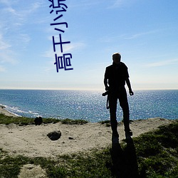 高干小(xiǎo)说