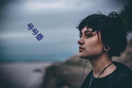 號號番
